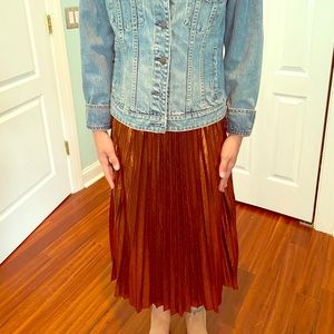 Pleated metallic skirt
